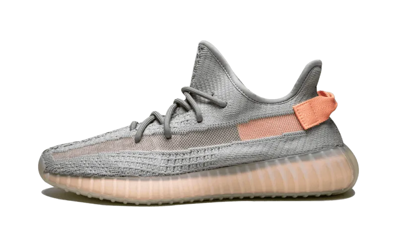 Adidas Yeezy Boost 350 V2 True Form