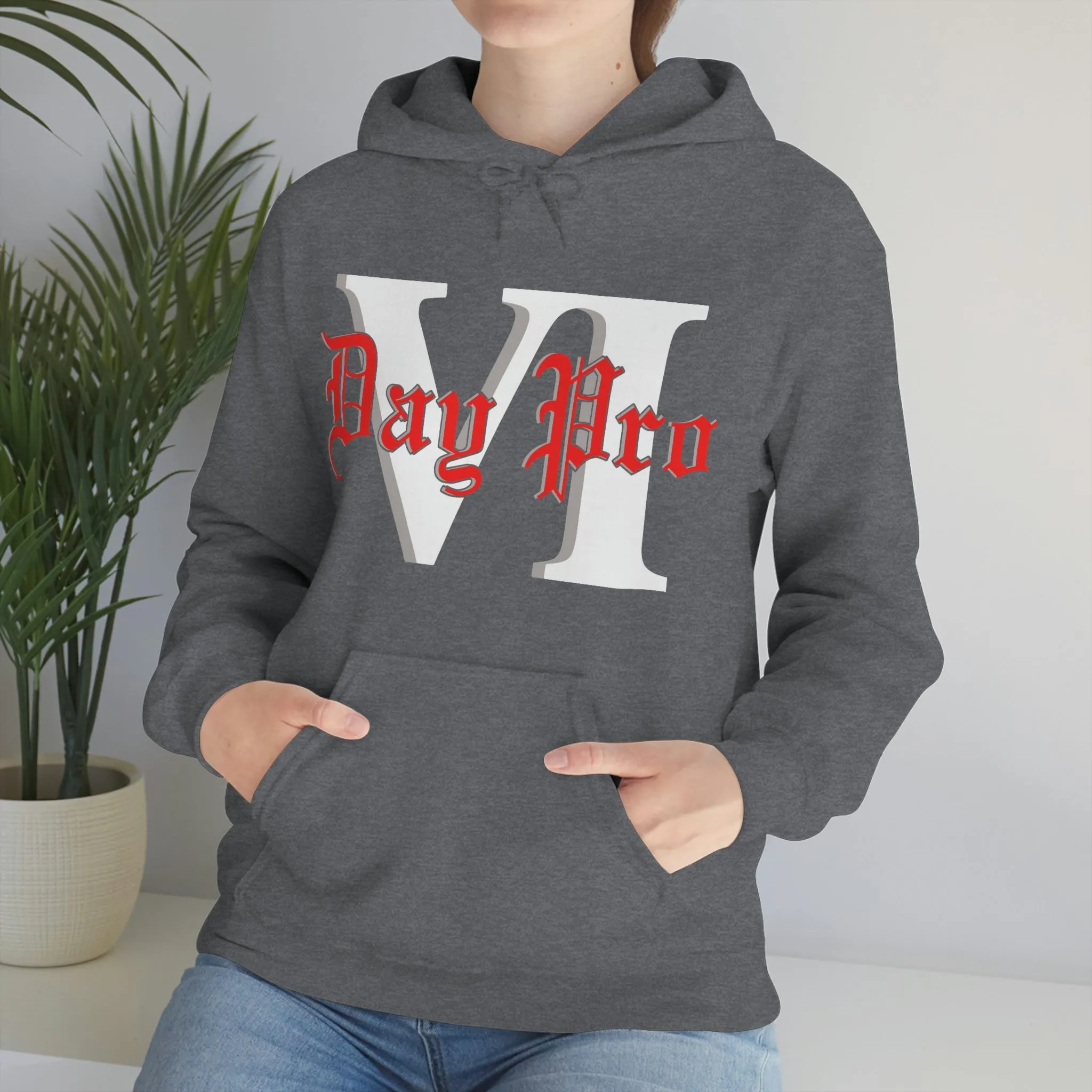 VI Day Pro Oversized Logo